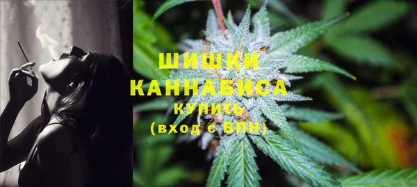 индика Елабуга