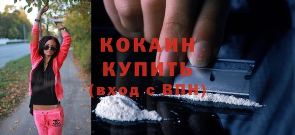 индика Дмитровск