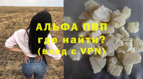 PSILOCYBIN Ельня