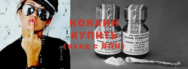 индика Елабуга