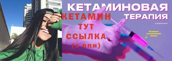 индика Елабуга
