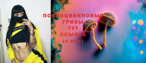 а пвп мука Рославль