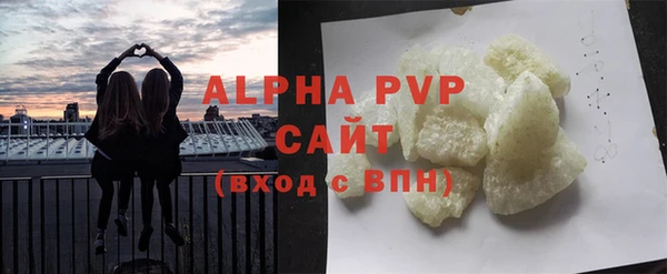 индика Елабуга