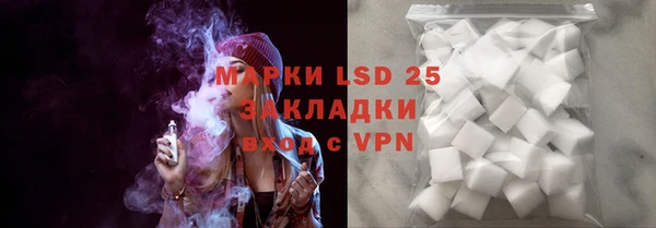 индика Елабуга