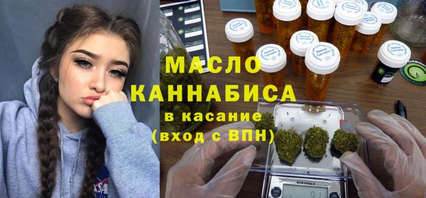 индика Елабуга