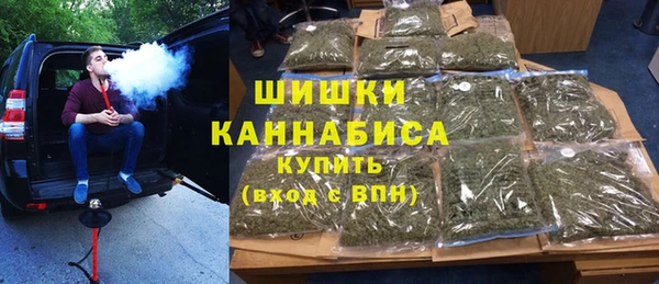 индика Елабуга