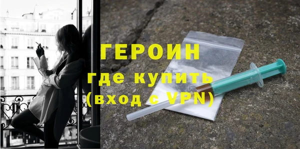 индика Елабуга
