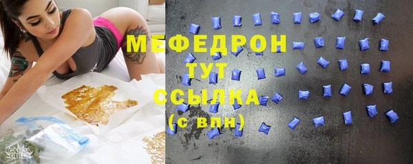 PSILOCYBIN Ельня