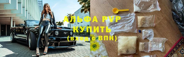 индика Дмитровск
