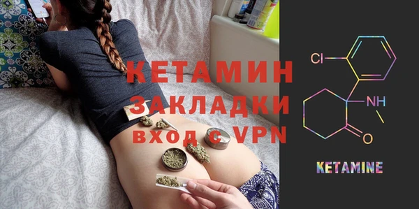 PSILOCYBIN Ельня