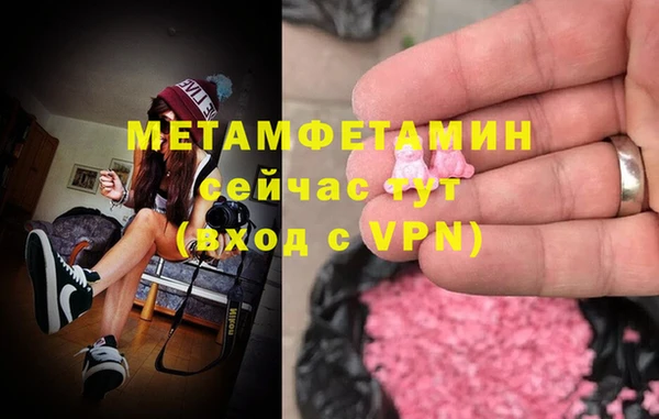 индика Елабуга