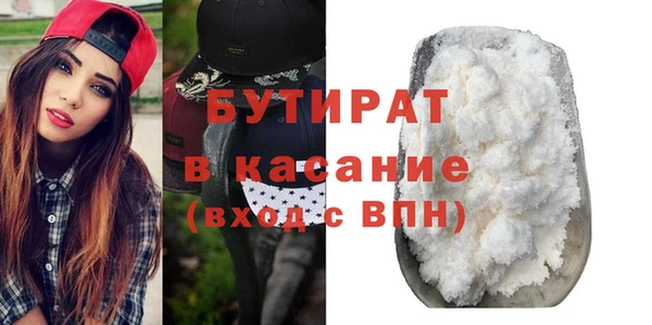 индика Елабуга