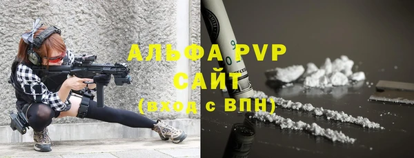 PSILOCYBIN Ельня