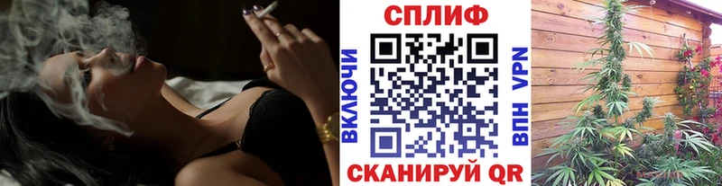 Бошки Шишки план  darknet официальный сайт  Кукмор 